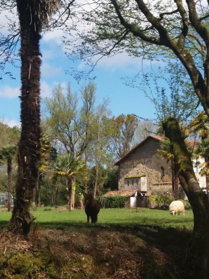 La Chapelle Du Chateau Ferienhaus Pouillon